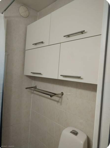 2h + s  Kemin - photo 7