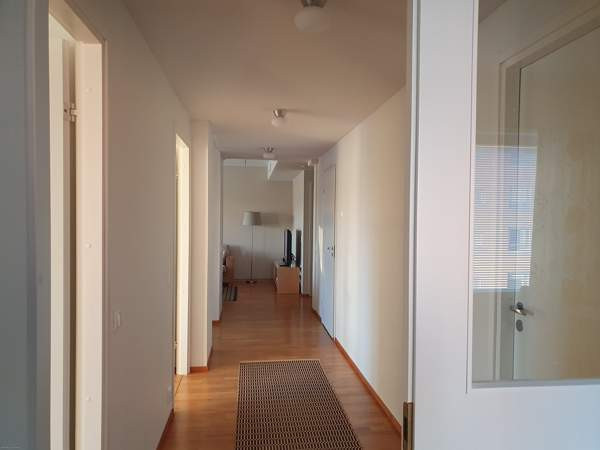 4h + avok + s + p  Oulu - photo 6