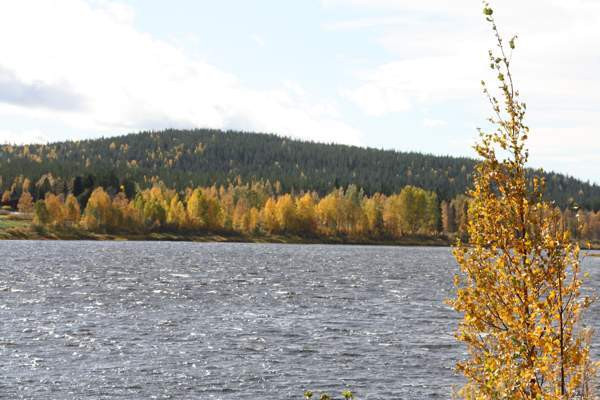 26h + k + s  Rovaniemi - photo 2