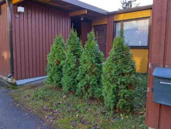 2h + avok + var + kph + wc  Jyvaeskylae