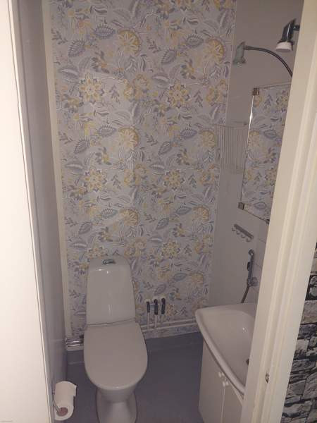 2h + p  Kemin - photo 4