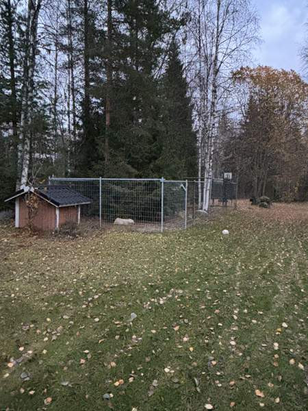 6h + s + k + khh  Heinävesi - valokuva 4