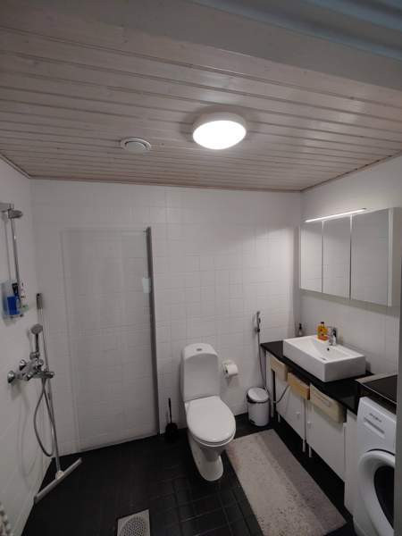 2h + k + s  Soini - valokuva 4