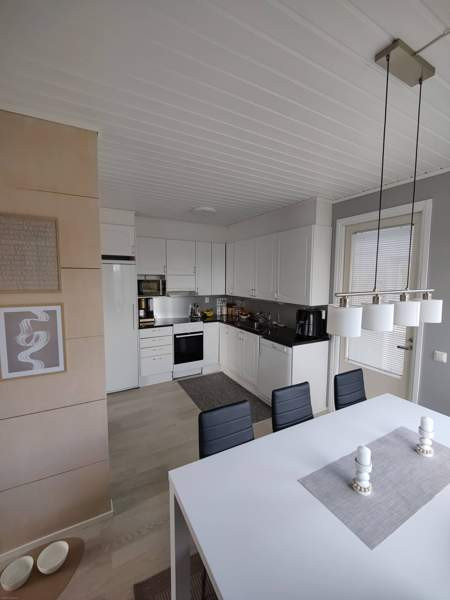 2h + k + s  Soini - valokuva 5