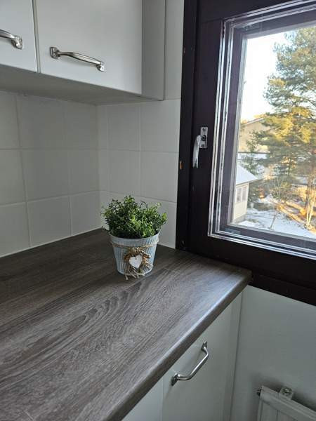 1h + kk + s + p  Jaemsae - photo 4