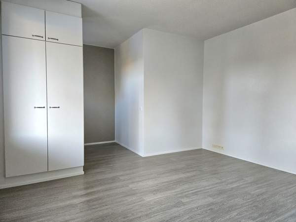 1h + kk + s + p  Jaemsae - photo 8