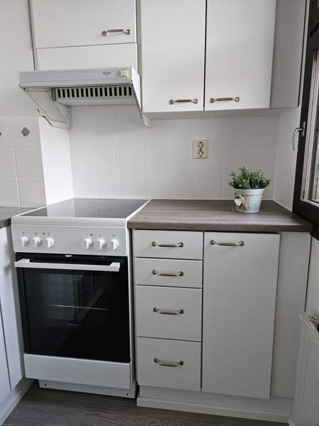 1h + kk + s + p  Jaemsae - photo 3