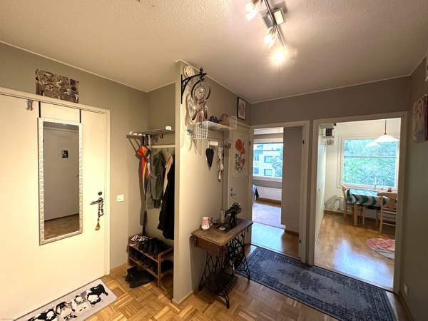 2h + k + s + p  Jaervenpaeae - photo 6