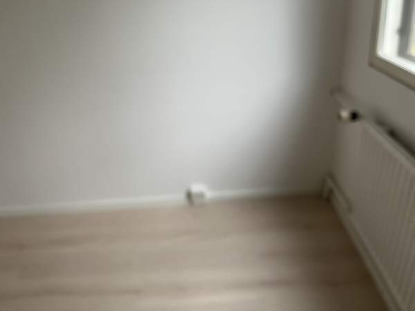 3h + k + p  Turtkul - valokuva 3