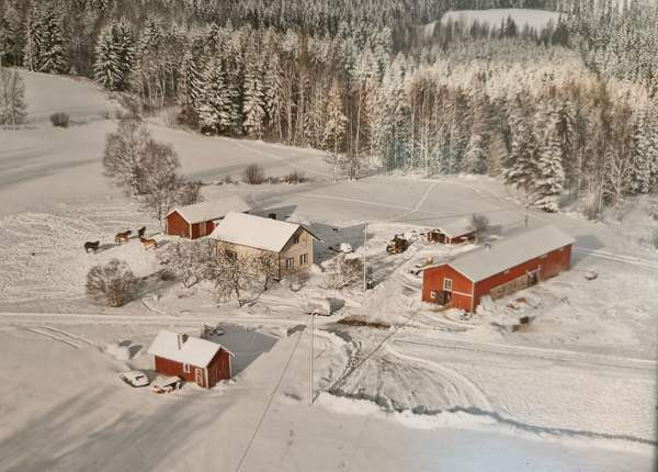 4h  Heinävesi - valokuva 1