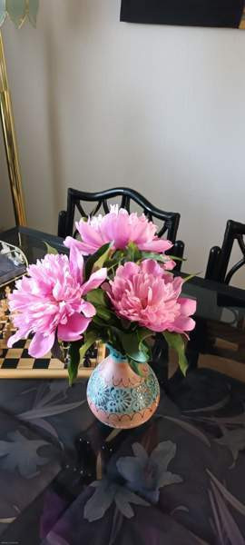 3h + s  Rauma - valokuva 7