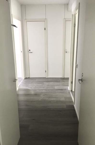 2h + p  Jyvaeskylae – foto 8