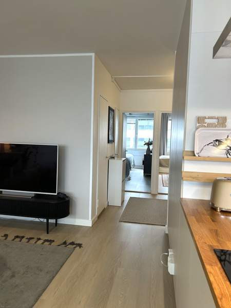 3h + p  Helsinki - photo 5