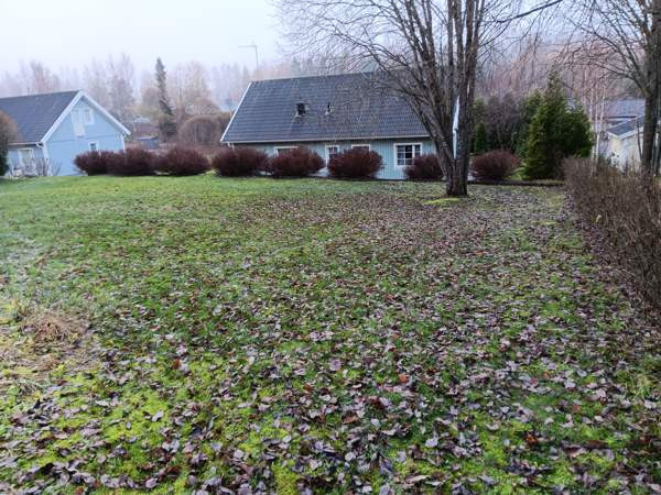 4h + s  Ylöjärvi - valokuva 7