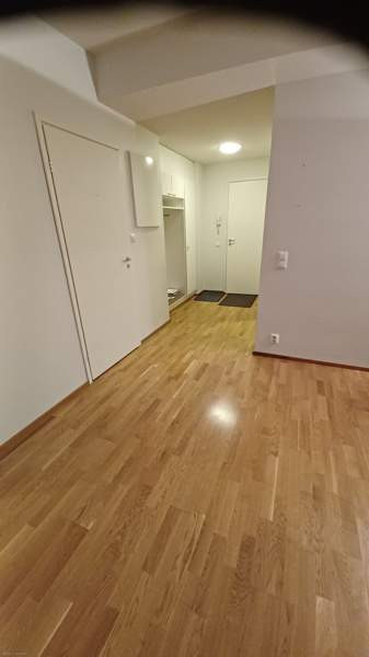 2h + s + lp  Turtkul - valokuva 5