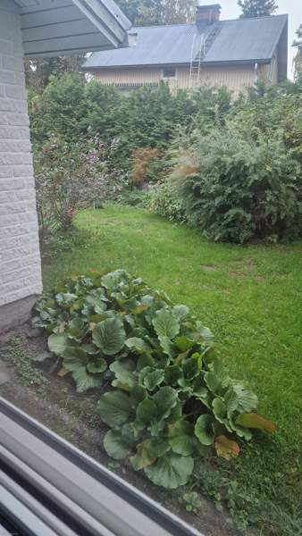 2h + s  Lapua - изображение 8