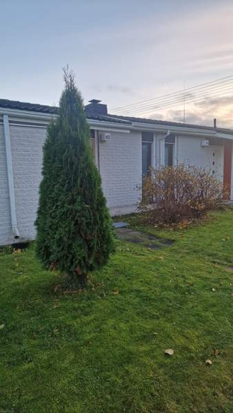 1h + s  Lapua - photo 5