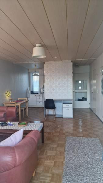 1h + s  Lapua - photo 2