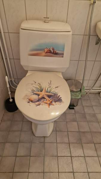 1h + s  Lapua - photo 7