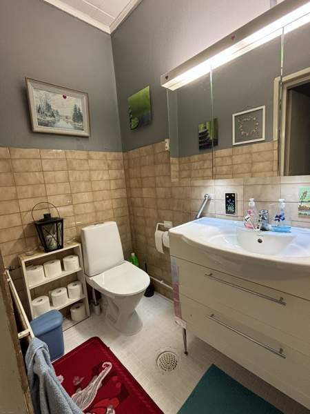 3h + k + s + p  Laitila - photo 8