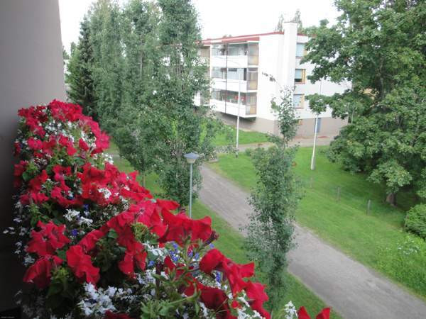 1h + kk + p  Pieksämäki - изображение 8