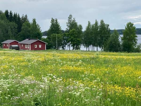 3h+k+kkh+s  Iisalmi - photo 1