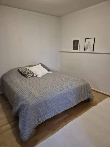 3h + rt + k + p  Каяни - изображение 8