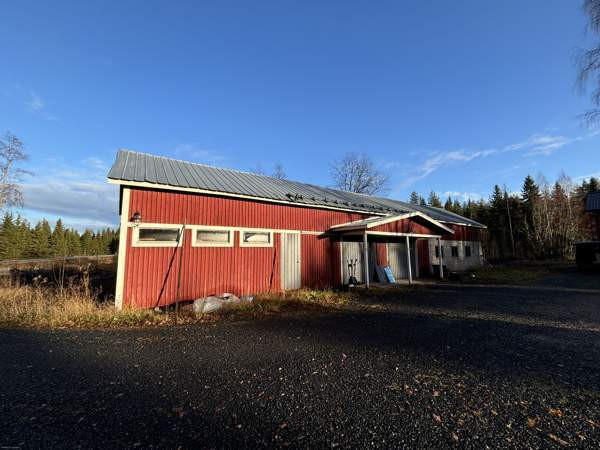 3h  Joensuu - valokuva 3