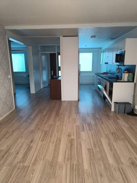 3h + K + KH + takapiha + autotalli  Mänttä-Vilppula - photo 2