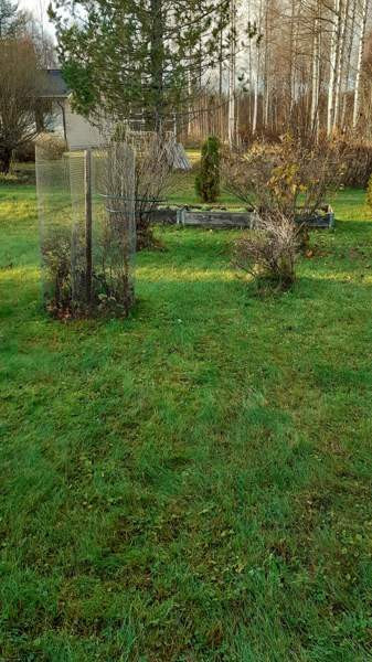 2h + k + s + vh  Chuvashskaya Respublika - valokuva 8