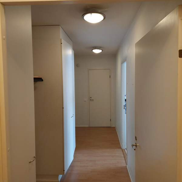 2h + s + p  Turtkul - valokuva 6