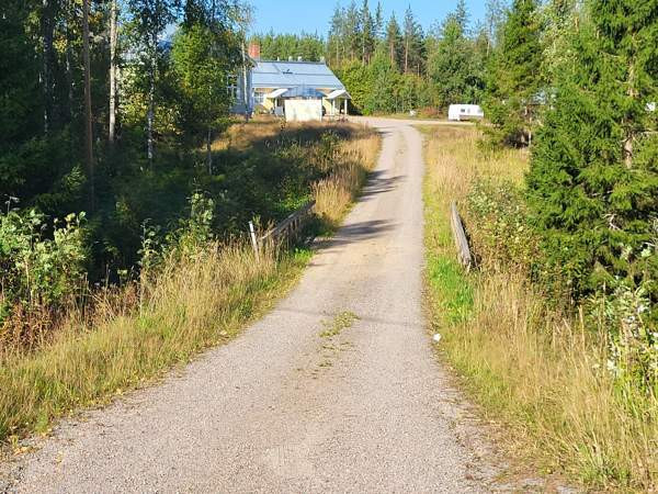 7h  Juuka - valokuva 3