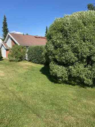 3h + avok + s  Turtkul