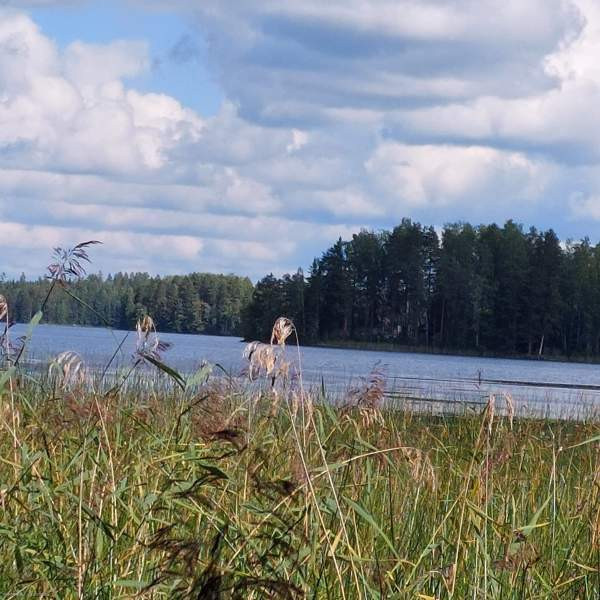 2h + s  Kuhmoinen – foto 4