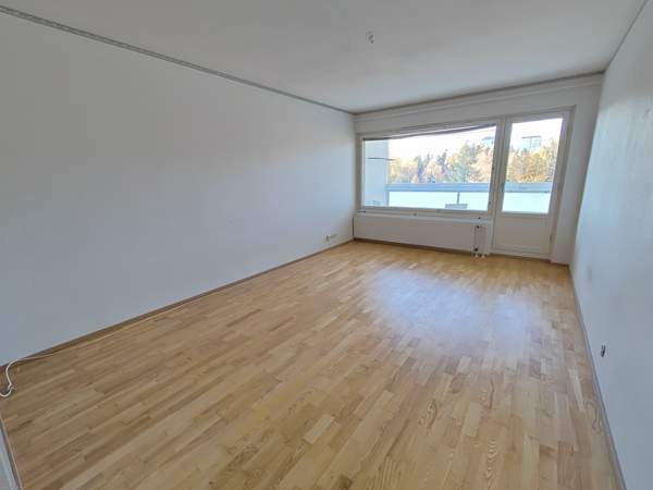 2h + k + p  Jaervenpaeae - photo 5