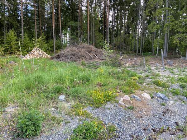 5h + s  Raisio - photo 5