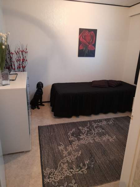 5h + k + s  Kauhava - valokuva 6