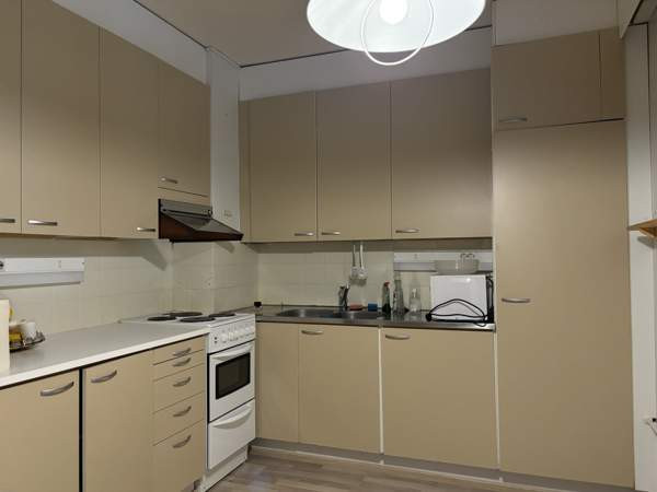 1h + k + s + p  Viitasaari - изображение 2