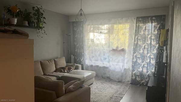 3h + s + p  Chukotskiy Avtonomnyy Okrug – foto 6