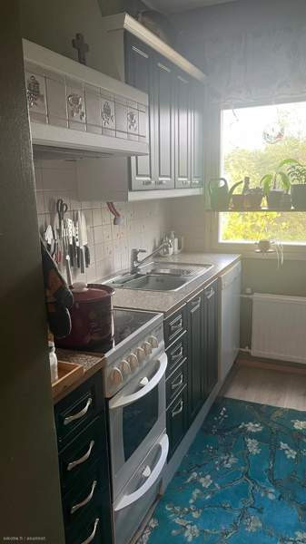 3h + s + p  Chukotskiy Avtonomnyy Okrug – foto 2