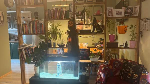 3h + s + p  Chukotskiy Avtonomnyy Okrug – foto 4