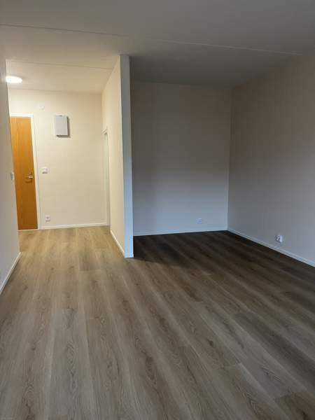 1h + kk + s + p  Вааса - изображение 3