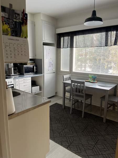 2h + k + p  Laitila - valokuva 7