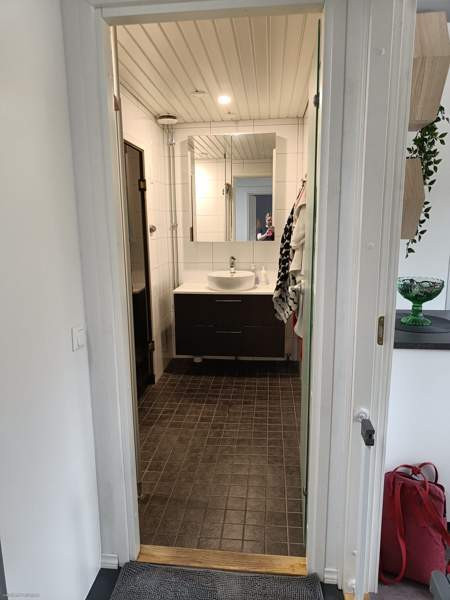 4h + k + s  Viitasaari - valokuva 4