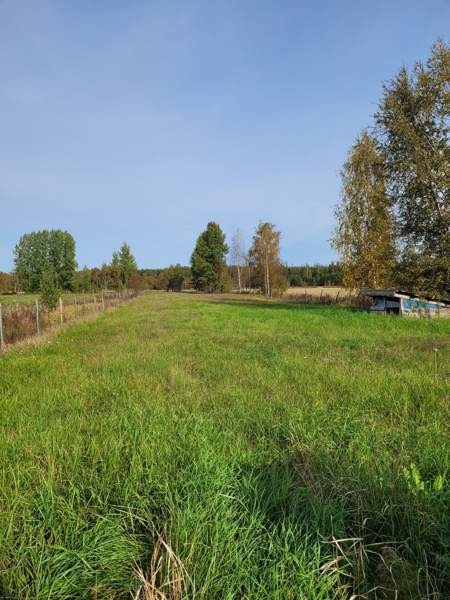 5h + k + s  Pyhtää - photo 8