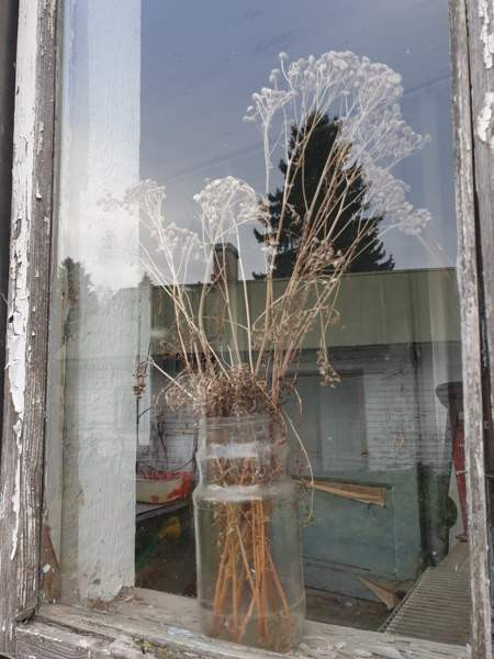 3h + k  Хамина - изображение 5