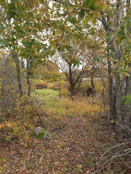 3h + k  Хамина - изображение 3