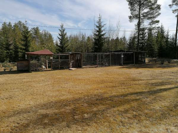 10h + k + s + p  Viitasaari – foto 5