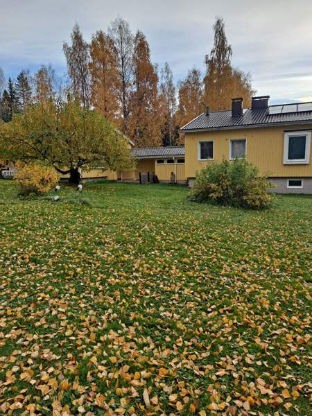 15h + s  Outokumpu - valokuva 4