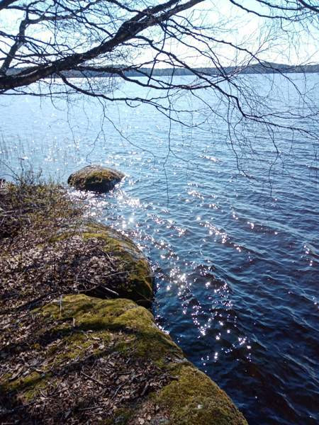 5h + avok + s+kph+2vh+kylmiö  As Salamiyah - valokuva 7